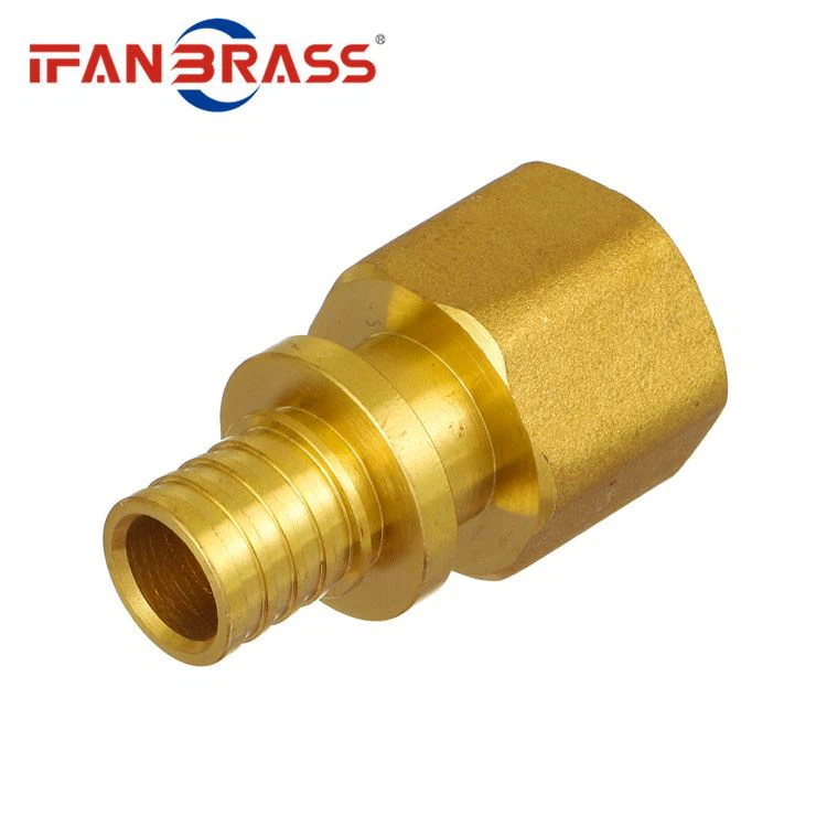 Brass Reduce Socket Brass Reduce Socket