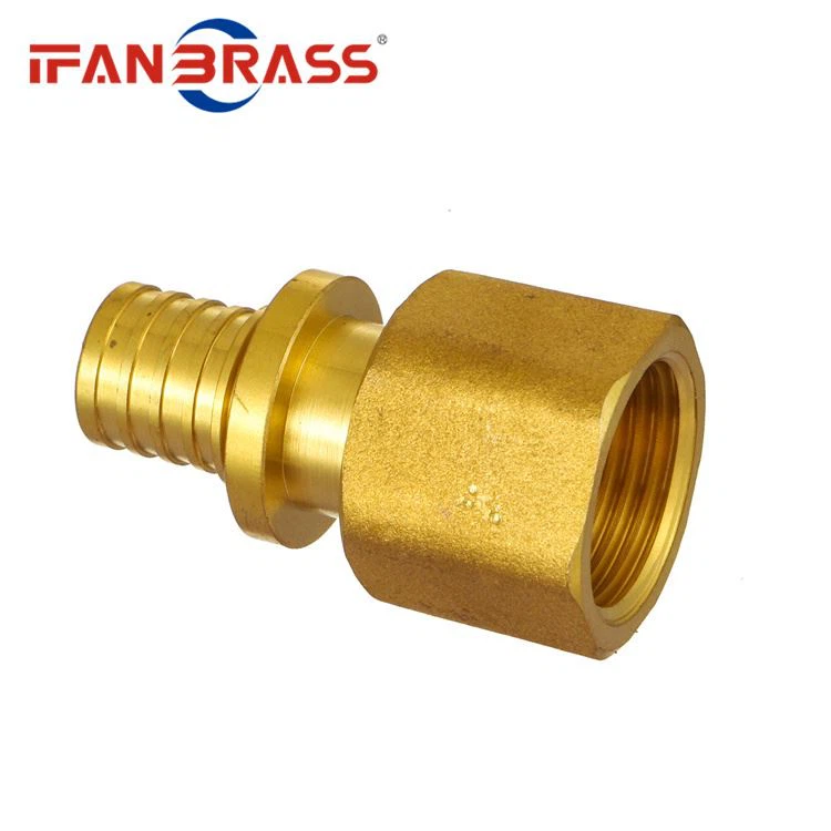 Reduce Socket brass Reduce Socket brass