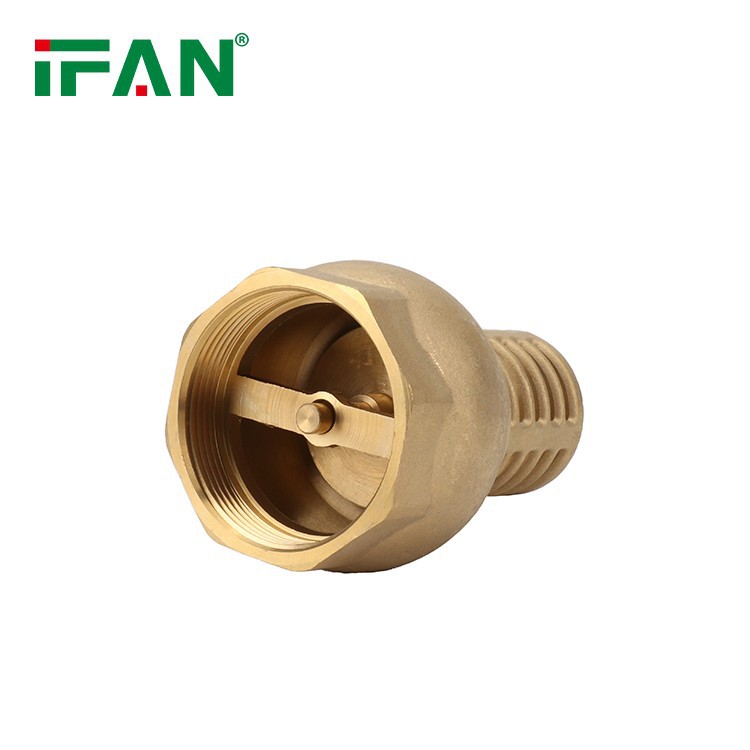 Customized Foot Valve