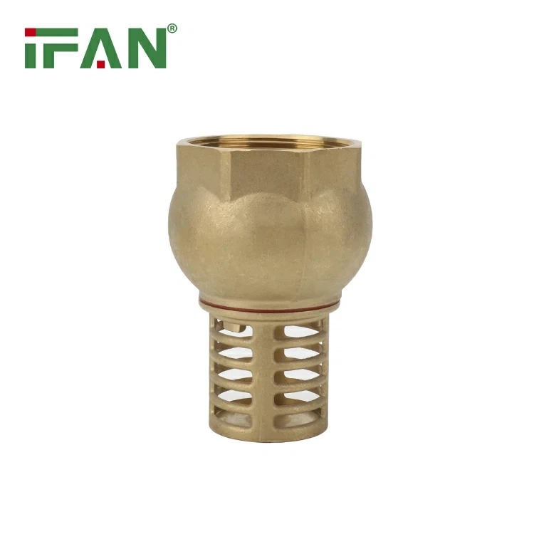 IFAN 81419 Foot Valve