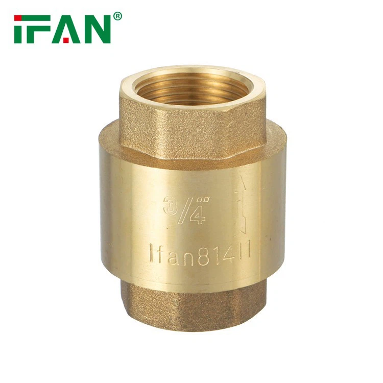 Brass Spring Check Valve