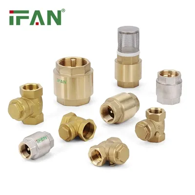 What is the purpose of a brass check valve