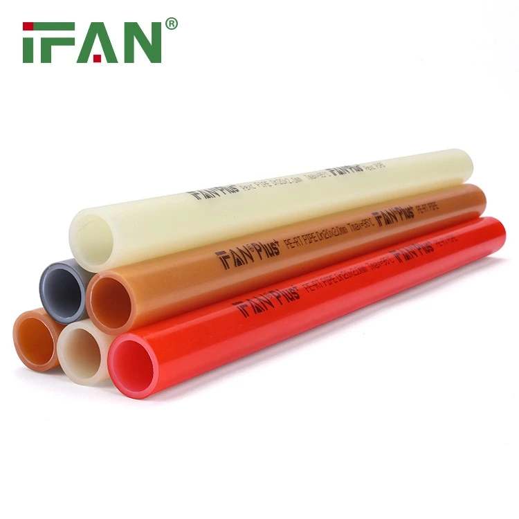 IFAN  (6)